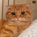 2020-03-02 15.36.35-1